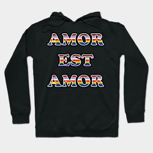 Amor est amor black background Hoodie